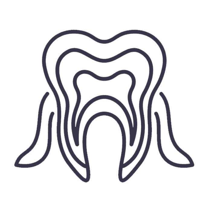 A minimal line drawing showing a cross-section of a tooth with visible internal layers and roots, ideal for Dentist Alpharetta GA educational materials.